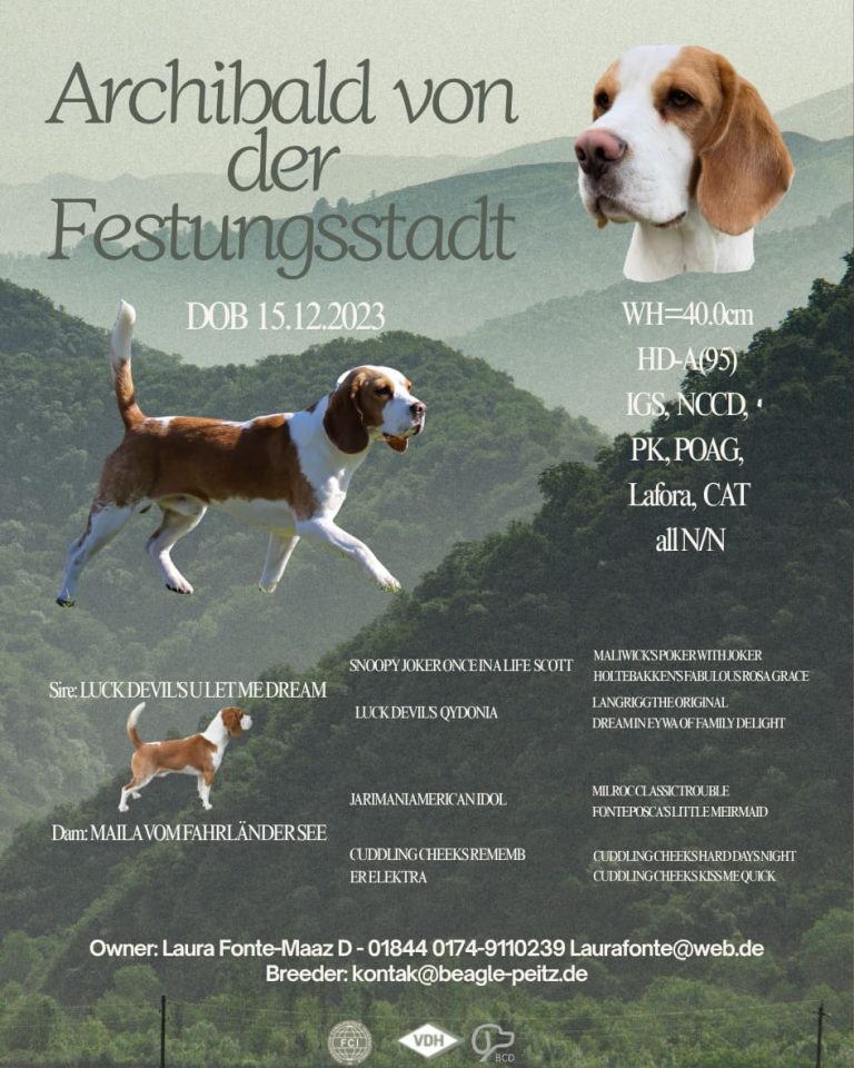Deckrüdenanzeige mit zuchtrelevanten Informationen.